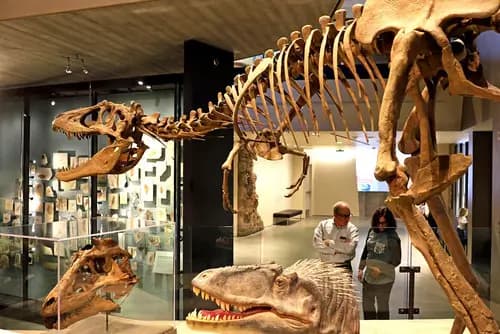 Natural History Museum of Utah | Red Butte Garden | Salt Lake City Public Library