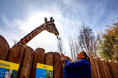Cincinnati Zoo & Botanical Garden | Cincinnati Art Museum | Krohn Conservatory