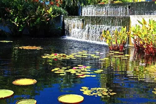 Naples Botanical Garden | Artis-Naples | Tin City Waterfront Shops