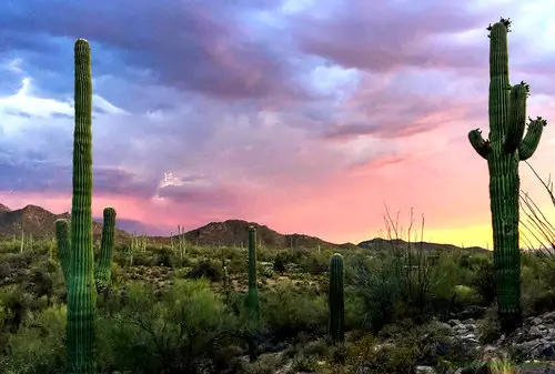 Saguaro National Park | Old Tucson Studios | Mission San Xavier del Bac