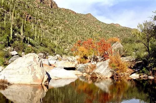Sabino Canyon Recreation Area | Trail Dust Town | Mercado San Agustín