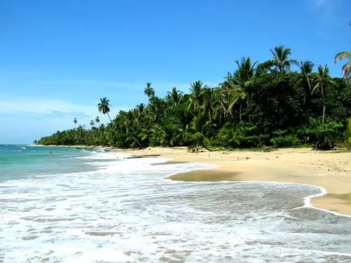Cierra tu jornada con la esencia del Caribe en Puerto Viejo