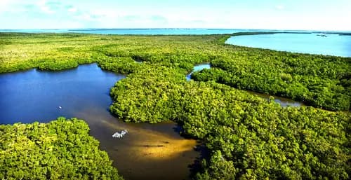 Sanibel Island | J.N. "Ding" Darling National Wildlife Refuge | Captiva Island