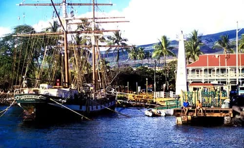 Maui Ocean Center | Makaluapuna Point | Lahaina Harbor