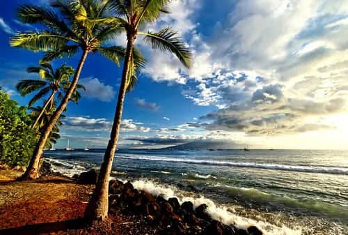 Un Hasta Luego a Maui: Una Última Mirada al Paraíso