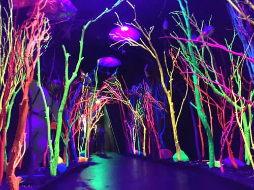 Museum of International Folk Art | Museum of Indian Arts & Culture | Meow Wolf Santa Fe