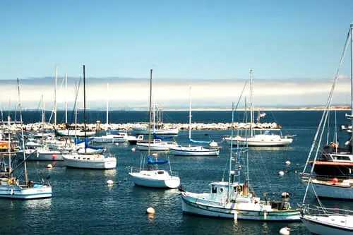 Tu Aventura en Monterey: Un Viaje al Corazón de California