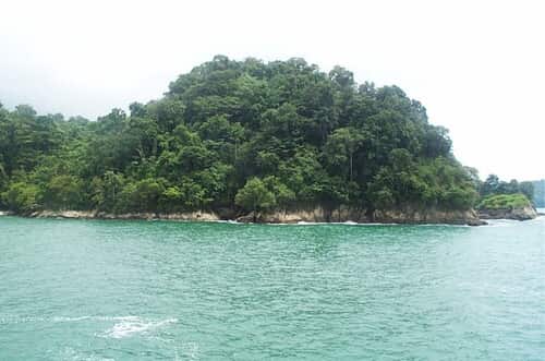 Descubre el Tesoro Verde de Manuel Antonio