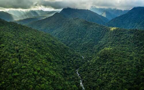 Parque Nacional Braulio Carrillo | Rainforest Adventures | Cerro de Dantas