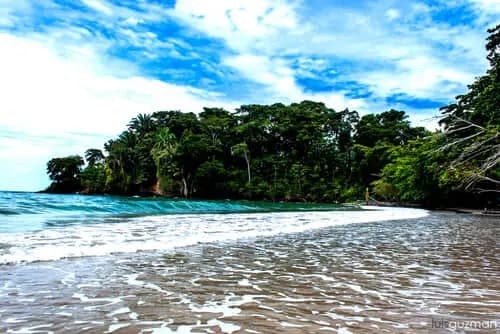 Hasta Pronto Limón: Un Adiós Lleno de Recuerdos