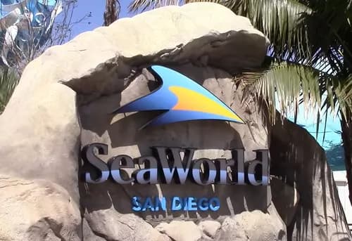 Visit SeaWorld in San Diego