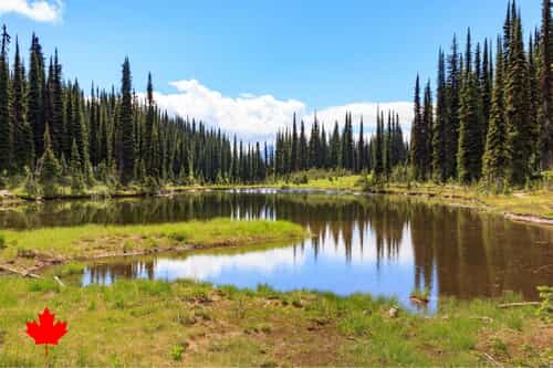 Whistler – Revelstoke (560 kms)