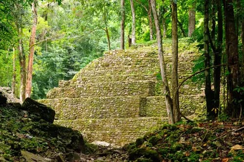 Visit Yaxchilan and Bonampak.