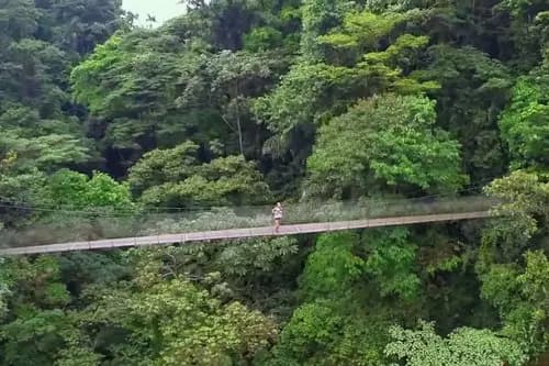 Libre en Arenal - Caminata a las Cascadas, Tirolesas o Caminata al Volcán