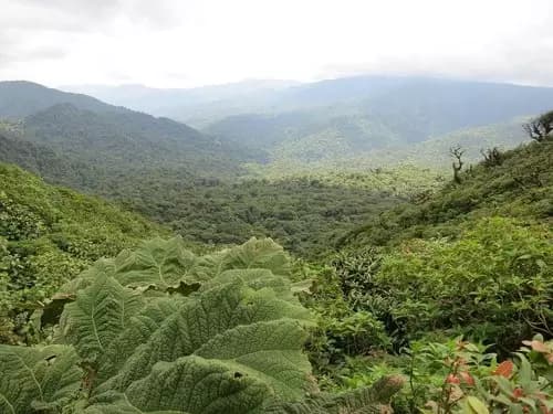 Traslado a Monteverde