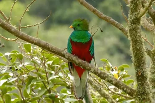Visita a la Reserva Natural de Coricancha y Parque Extremo