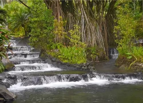 Free Day in Arenal F&D