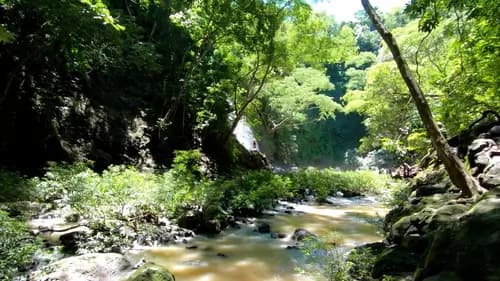 Magic of Moctezuma: Waterfalls, Yoga, Ziplines