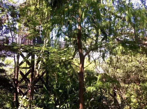 Visita el Jardín Botánico con tarde libre