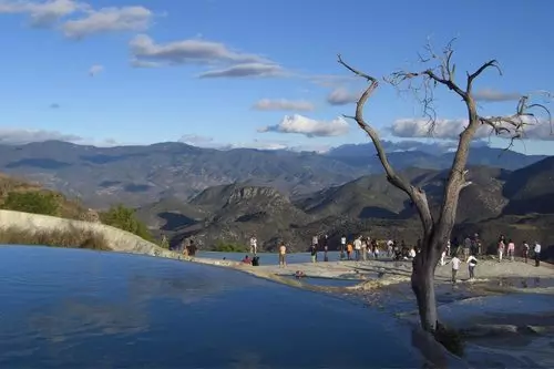 Tour of the Tule Tree, Teotitlán, and Hierve el Agua