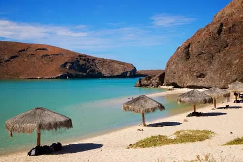Free Day in Los Cabos